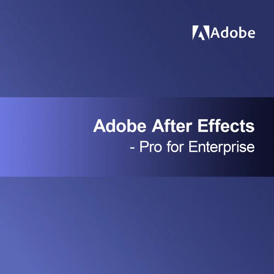 Adobe After Effects - Pro pentru Enterprise