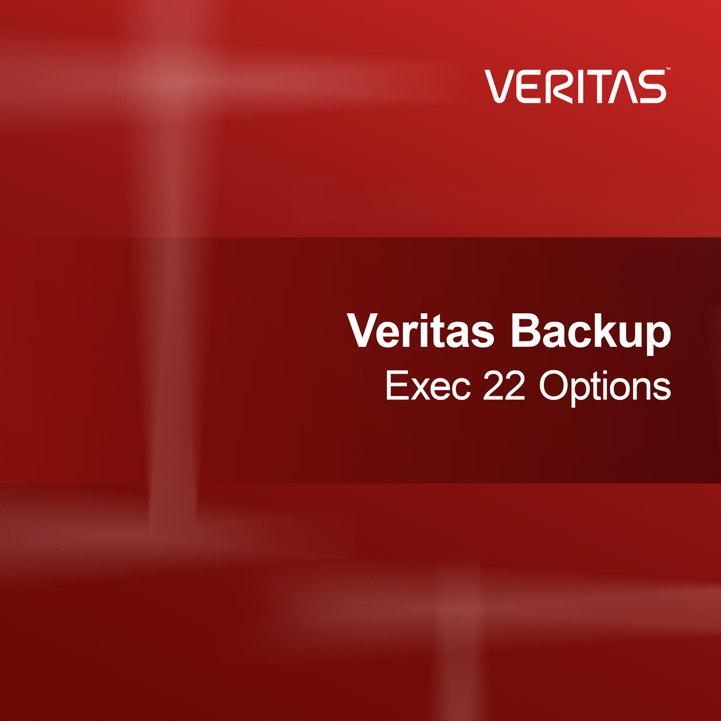Opțiuni Veritas Backup Exec 22