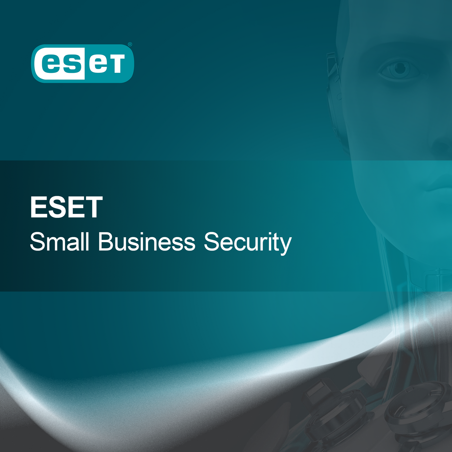 ESET Securitate pentru Afaceri Mici