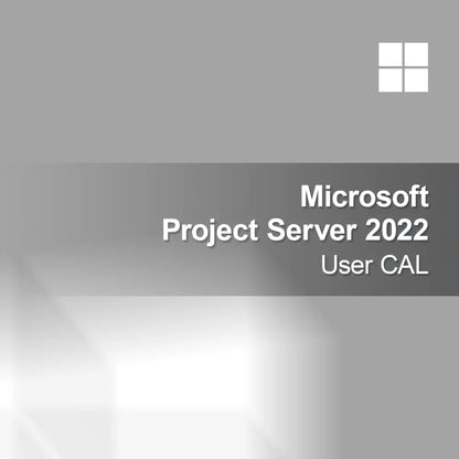 Microsoft Project Server 2022 Licență Utilizator CAL